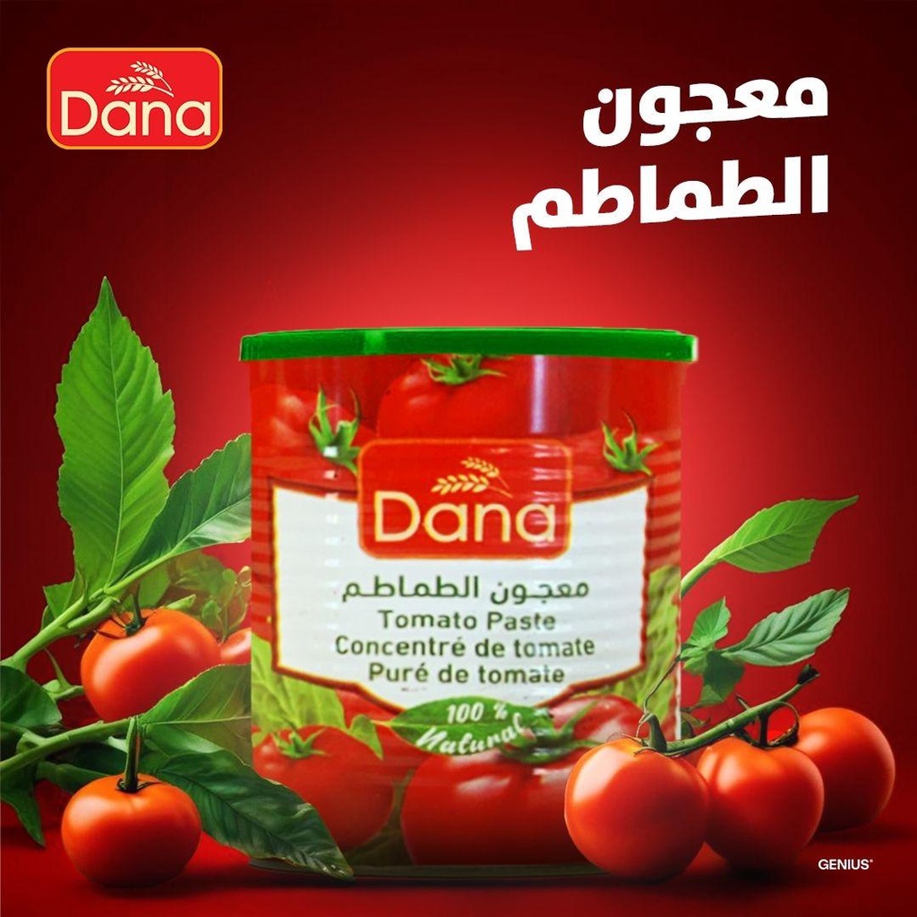 tomato paste dana 12p