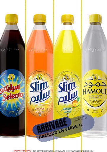 slim Gazouz 6p 